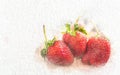 Watercolor fresh strawberry with abstract color on white paper background. Painting of beautiful artwork.