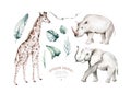 Watercolor frican elephant animal, giraffe and rhinoceros isolated on white background. Savannah rhipo wildlife cartoon Royalty Free Stock Photo