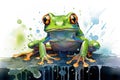 watercolor frog frog illustration with splash watercolor textured background unusual illustration watercolor frog Royalty Free Stock Photo