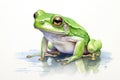 watercolor frog frog illustration with splash watercolor textured background unusual illustration watercolor frog Royalty Free Stock Photo