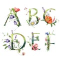Watercolor frolal alphabet set of A, B, C, D, E, F with wild flowers. Hand painted floral symbols isolated on white