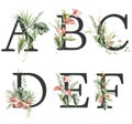 Watercolor frolal alphabet set of black A, B, C, D, E, F with wild flowers. Hand painted floral symbols isolated on white