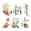 Watercolor frolal alphabet set of G, H, I, J, K, L with wild flowers. Hand painted floral symbols isolated on white