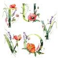 Watercolor frolal alphabet set of Q, T, U, V, Y with wild flowers. Hand painted floral symbols isolated on white