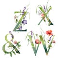 Watercolor frolal alphabet set of X, W, Z with wild flowers. Hand painted floral symbols isolated on white background