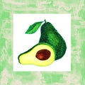 Watercolor Fruit avocado on white background. Healthy vegan food. Delicious Organic food. Isolated object healthy eating