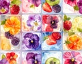 Watercolor Fruit and Flower Ice Cubes Pattern Royalty Free Stock Photo