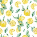 Watercolor fruit pattern lemon, summer print for the textile fabric, wallpaper