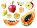 Watercolor fruit set. Papaya, lemon, apple cut in halves and slices isolated on white background. Tropical fruit in cross section.