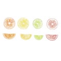 citrus watercolor set for design