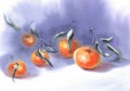 Watercolor fruit tangerine branch on white and violet background