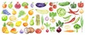 Watercolor fruit and vegetables set. Royalty Free Stock Photo