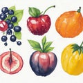 watercolor fruits