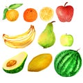 Watercolor fruits set