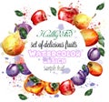 Watercolor fruits wreath Vector. Apple, plum, pear summer fruit compositions