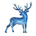 Watercolor full silhouette of deer in blue color. Animal painting. Stag and antler christmas illustration isolated on Royalty Free Stock Photo