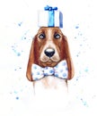 Watercolor funny basset hound with preset and bow