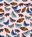 Watercolor butterflyes on the white background.es