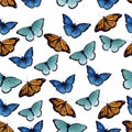 Watercolor butterflyes on the white background.es