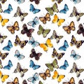 Watercolor butterflyes on the white background.es