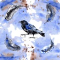 Watercolor Funny Cute Crow raven Feathers Painting illustration