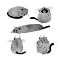 Watercolor funny gray cats in cartoon style.