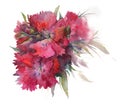 Watercolor with garden flowers bouquet red scarlet buds Turkish carnation Royalty Free Stock Photo