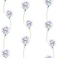 Watercolor garden flowers, branches and leaves of chives. Meadow plants botanical in seamless background for wallpapers, prints, t