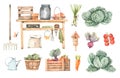 Watercolor Garden harvest illustrations with garden tools, vegetables, plants and farm objects. Spring summer seasons.Cartoon
