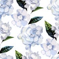 Watercolor gardenia pattern