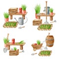 Watercolor gardening set of illustrations. Hand drawn watering can, rake, bucket, wood box, garden bed, seedling and herbs in Royalty Free Stock Photo