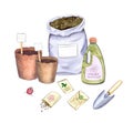 Watercolor gardening tools