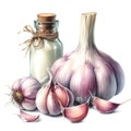 Watercolor garlic for food card decor