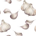 Watercolor garlic seamless pattern. Hand painted food isolated on white background. Autumn harvest festival. Botanical