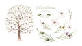 Watercolor Genealogical Family tree. Watercolor children's tree botanical season isolated illustration. olive, oak and