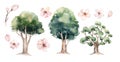 Watercolor Genealogical Family tree. Watercolor children's tree botanical season isolated illustration. olive, oak and