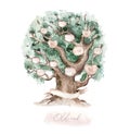 Watercolor Genealogical Family tree. Watercolor children's tree botanical season isolated illustration. olive, oak and