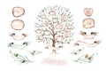 Watercolor Genealogical Family tree. Watercolor children's tree botanical season isolated illustration. olive, oak and