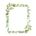 Watercolor geometrical frame with greenery leaves branch twig plant herb flora isolated