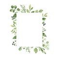 Watercolor geometrical frame with greenery leaves branch twig plant herb flora isolated