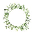 Watercolor geometrical round frame with greenery leaves branch twig plant herb flora isolated