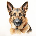 Watercolor German Shepherd Portrait: Realist Detail In Uhd