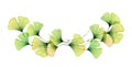 Watercolor Ginkgo leaves border. Horizontal arrangement of branches. Transparent green foliage isolated on white