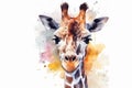 Watercolor giraffe portrait illustration on white background Royalty Free Stock Photo