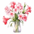 Watercolor Gladiolus Bouquet Illustration In Light Red And White Royalty Free Stock Photo