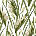 Watercolor gladiolus seamless pattern Hand drawn digital illustration of white flowers, buds, leaves