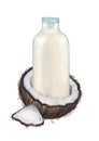 Watercolor glass bottle of the plant based milk standing inside the sliced coconut.