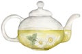 Watercolor glass teapot illustration. Healthy herbal tea clipart, daisy and mint