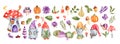 Watercolor gnomes. A fabulous set. Owl. Watercolor plants, flowers, mushrooms