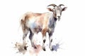 Watercolor goat illustration on white background